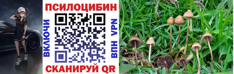 Псилоцибиновые грибы мухоморы  Купить закладки  Оса 